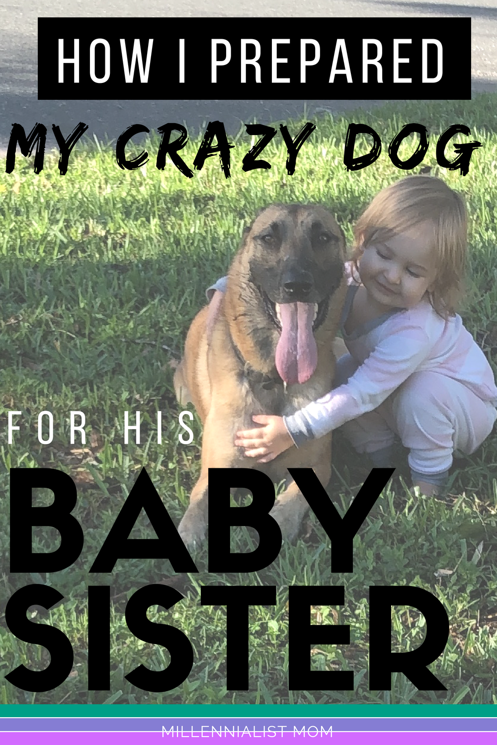 Learn how I prepared my crazy dog for his baby sister. It's easy enough for any one (I am definitely NOT a dog trainer...). Being #pregnant comes with soooo many #thingstodo but as responsible pet owners and mamas-to-be, we owe it to ALL of our babies to set ourselves up for success & the SWEETEST little relationships.